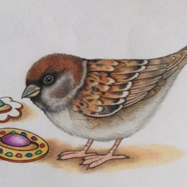 Воробей и брошки