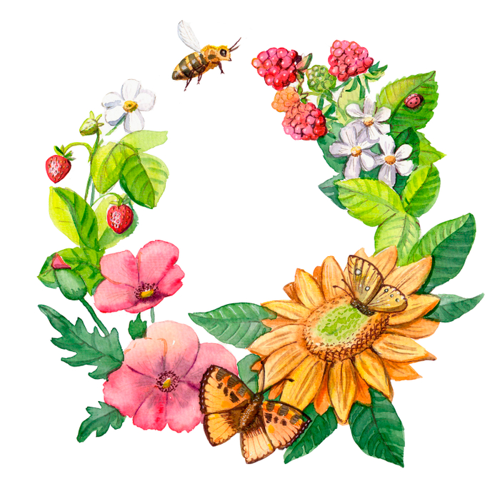 Летний венок