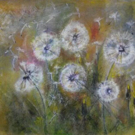 одуванчики