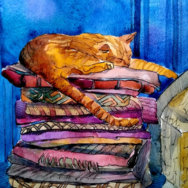 "Отдых турецкого кота"