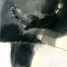 Пролетала сова