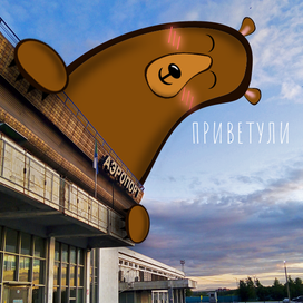 Открытка "Аэропорт Хабаровска"