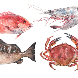 Морепродукты