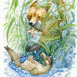 Окончательный вариант для "Серая Шейка"