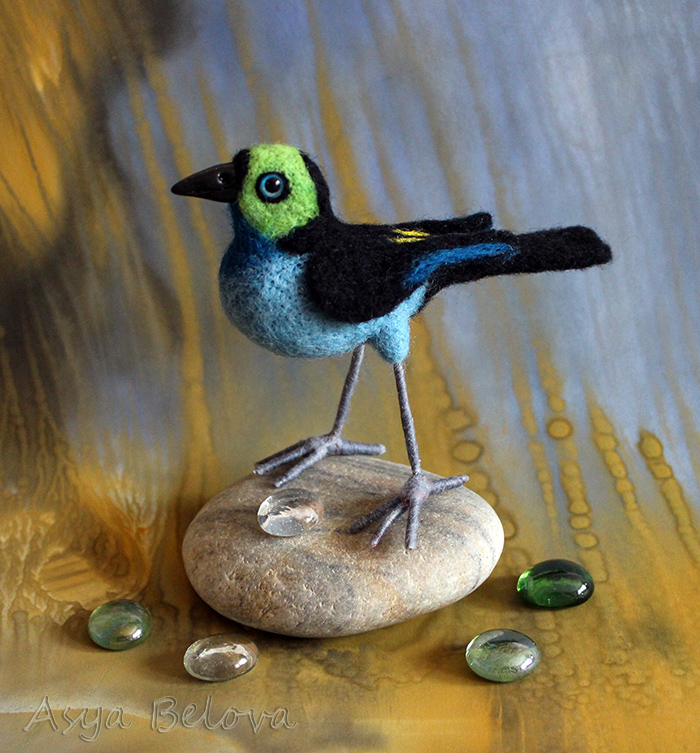 Райская  танагра