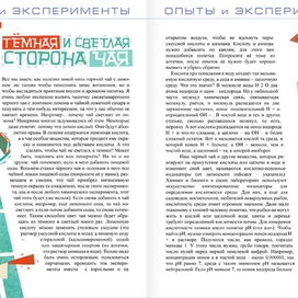 Темная и светлая сторона чая