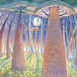 Ночной лес.