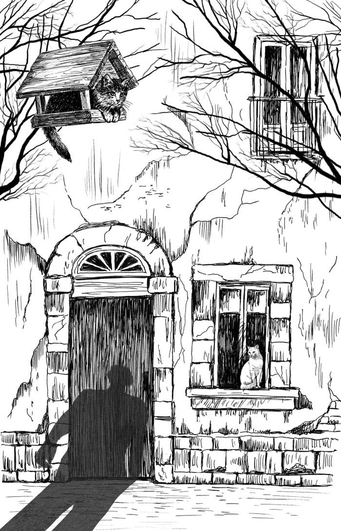 Иллюстрация для сборника рассказов "Кошкин город. Бродячие истории""