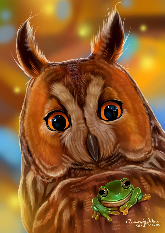 Кто сказал "ква"?