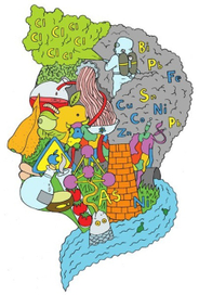 мы то что мы едим