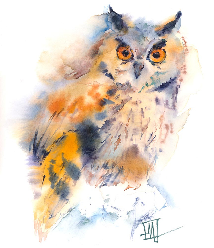 Ушастая сова