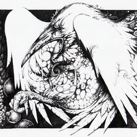 белый ворон