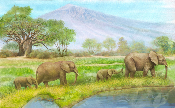 Шмуцтитул к маленькой повести "Шави и Рави"