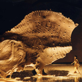 Кадр 1. Доисторическая рыба