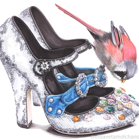 туфли DG и усатая синица