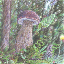 Лесной крепыш.