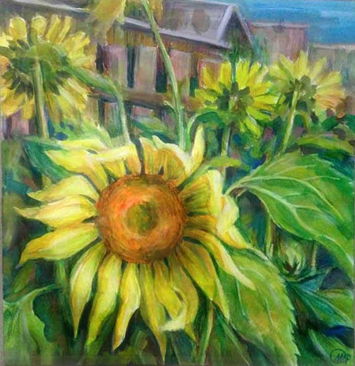 подсолнухи