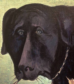  Лабрадор Путина ( фрагмент)