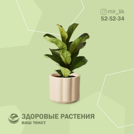 Рекламный пост для соцсетей 