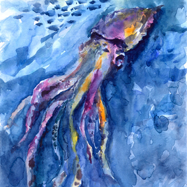 В глубинах моря. Кальмар.