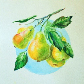 зеленые грушки