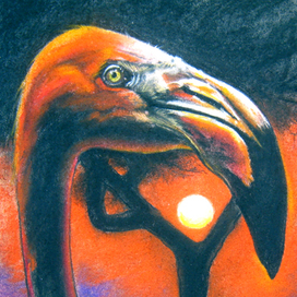 Фламинго на фоне заката