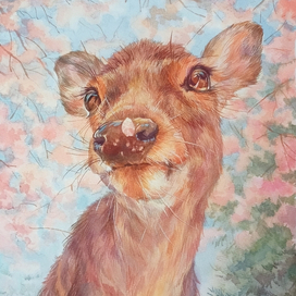 Весна на носу