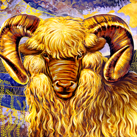 Баран. О золотом руне.