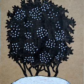 снежноягодник