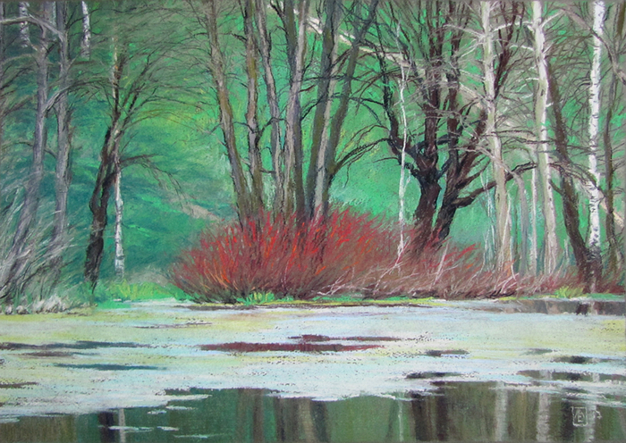 Весенний пруд