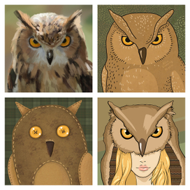 Owls