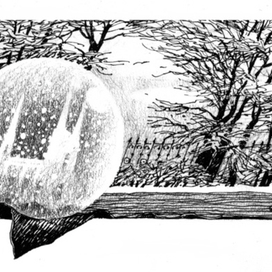 Утешительный приз