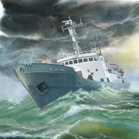 "Белую овцу" штормит...