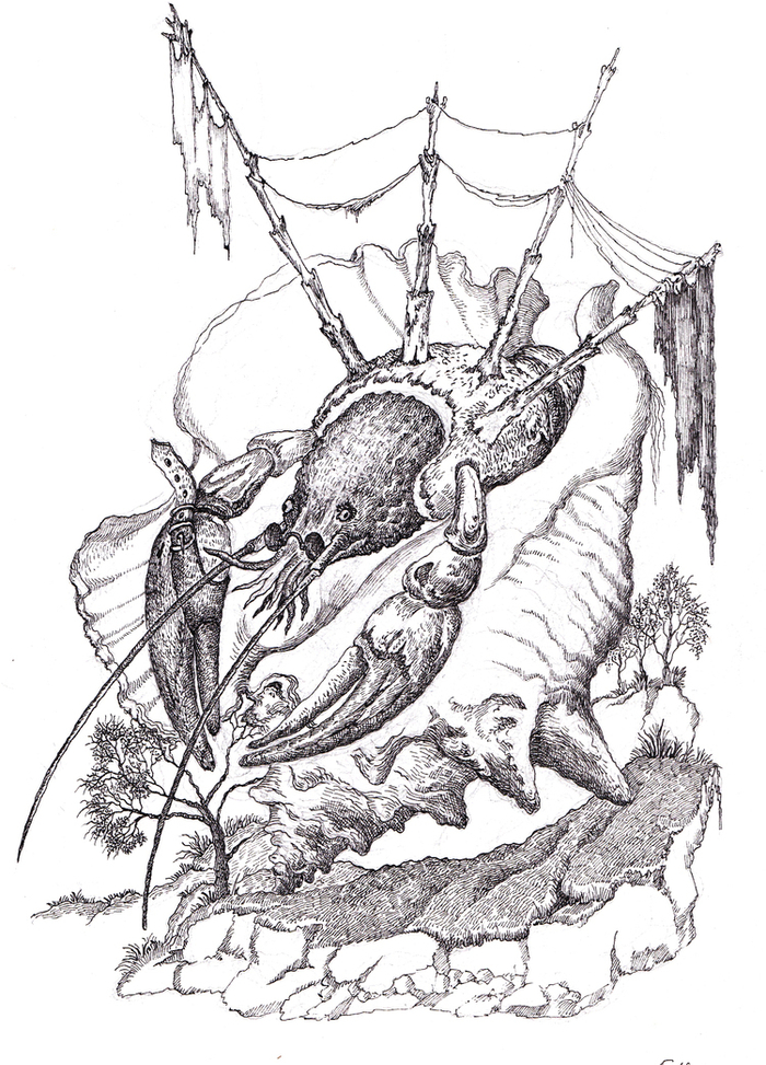 ЗНАКИ ЗОДИАКА рак