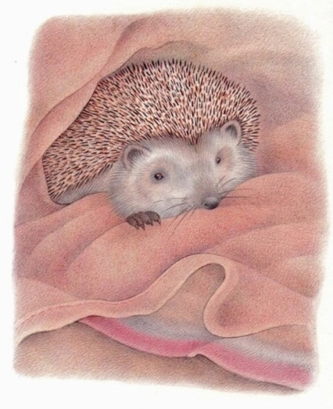 Под одеялом хорошо)