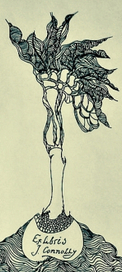 Exlibris J. Connolly