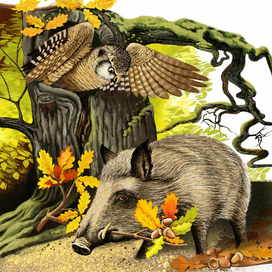 Ирина Гурина "Удивительная история"