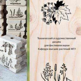 Иллюстрация и технический дизайн