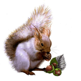Белочка с орешками