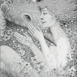 Ловушки ночных цветов