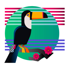 Птица Тукан