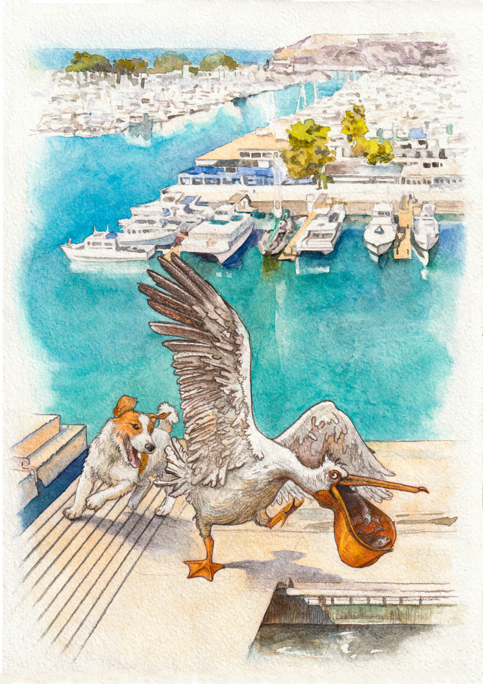 Ил. к рассказу Д.Черных и О.Чувакина "Диоген Колифорнийский"