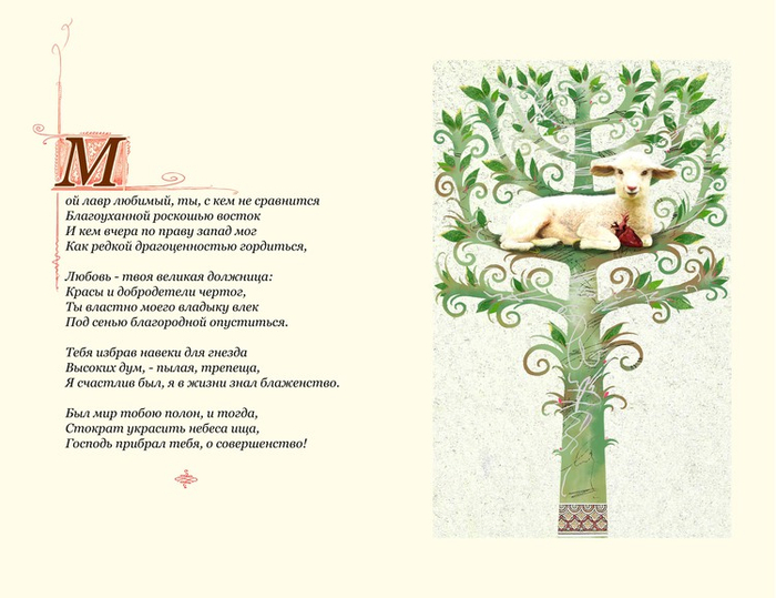 Мой лавр любимый...