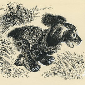 Е.Чарушин "Про Томку" изд. "Малыш"