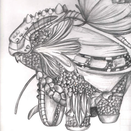 Дракон Энрико