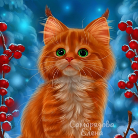 Рыжий котенок