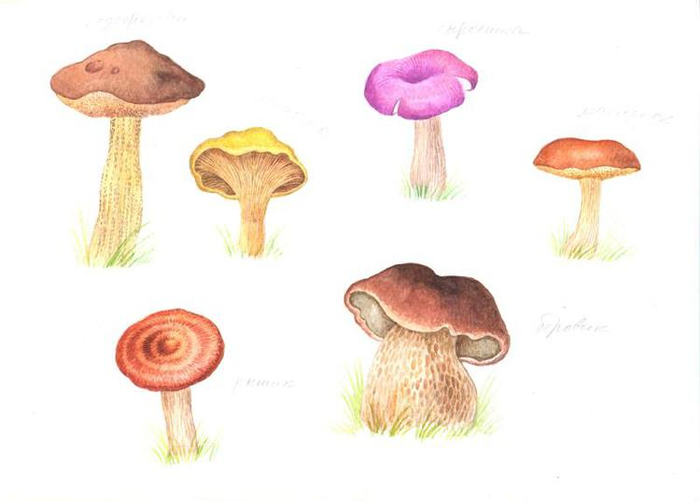 Для учебника