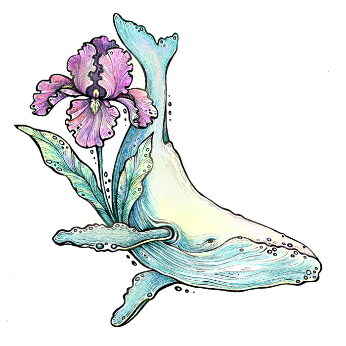 Цветочный кит. 