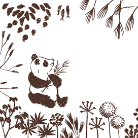 Черно-белая жизнь панд среди зеленых лесов-2