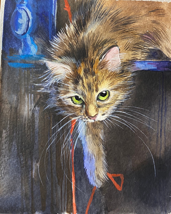 Кошка Алишка 